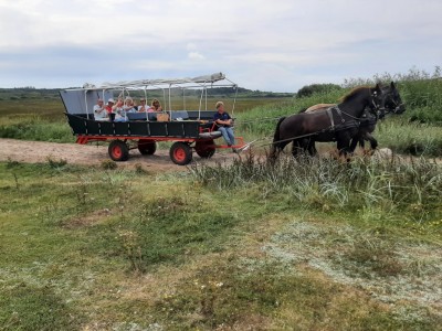 Eilandvakantie Terschelling